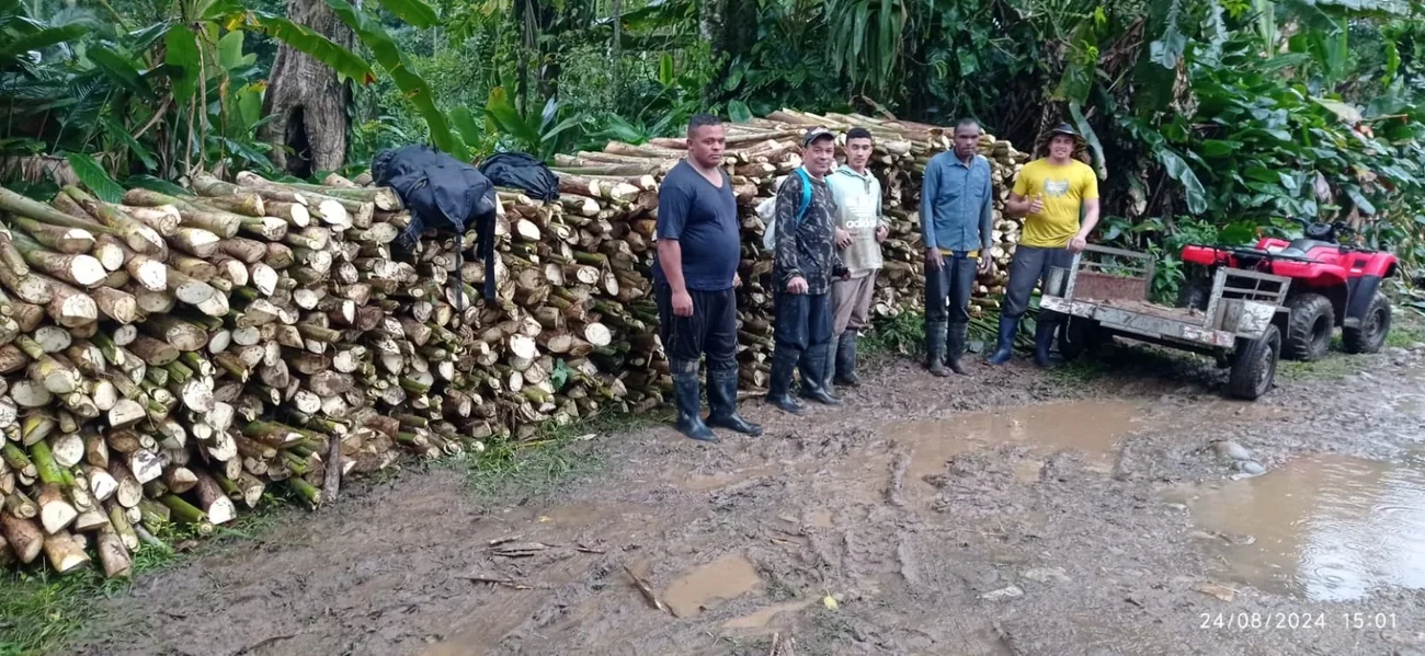 Equipe e pessoas junto às hastes de palmito pupunha colhidas no Sítio Aurora