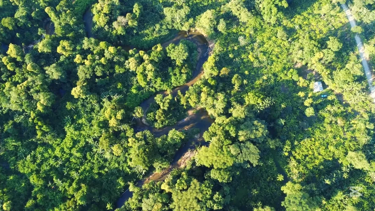 Vista aérea da região do Sítio Aurora em Guaraqueçaba